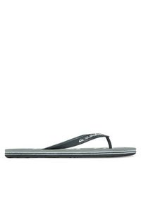 Quiksilver Japonki Molokai Screen AQYL101427 Zielony. Kolor: zielony #5