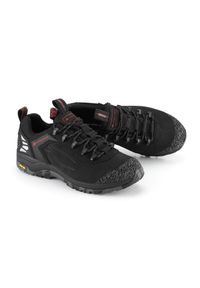 ALPINE PRO - Buty trekkingowe niskie Alpine Pro Spidere Vibram. Kolor: czarny