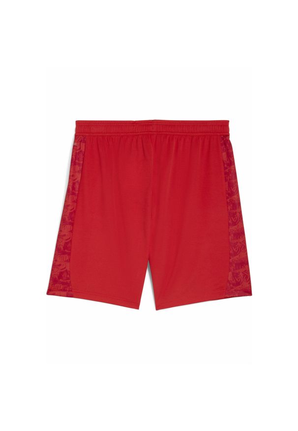 Puma - Męskie szorty FC St. Pauli 25/26 PUMA Burnt Red White. Kolor: czerwony, biały, wielokolorowy. Materiał: tkanina. Sport: fitness, piłka nożna