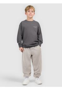4f - 4F Longsleeve loose z nadrukiem chłopięcy - szary 140 (9-10 lat). Okazja: na spacer, na uczelnię, na co dzień. Kolor: szary. Materiał: bawełna, dzianina. Długość rękawa: długi rękaw. Długość: długie. Wzór: nadruk. Sezon: lato. Styl: casual #1