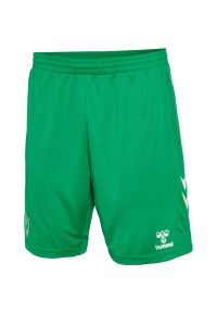 Hummel - Szorty domowe dla dzieci 22/23. Okazja: do domu. Kolor: zielony. Styl: sportowy, młodzieżowy