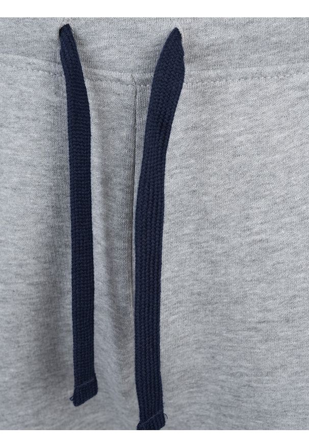 North Sails Spodnie | 90 3204 000 | Sweatpant W | Mężczyzna | Szary. Okazja: na co dzień. Kolor: szary. Materiał: bawełna. Wzór: nadruk. Styl: casual