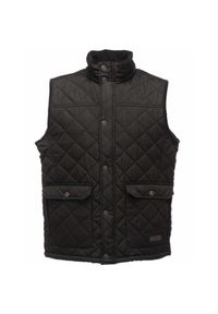 Regatta - Bezrękawnik Męski Tyler Bez Rękawów / Kamizelka. Kolor: czarny. Długość rękawa: bez rękawów. Styl: sportowy. Sport: turystyka piesza #1
