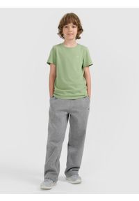 4f - 4F T-shirt regular gładki chłopięcy - turkusowy 164 (13-14 lat). Okazja: na co dzień. Kolor: turkusowy. Materiał: jersey, materiał, bawełna. Długość rękawa: krótki rękaw. Długość: krótkie. Wzór: gładki. Sezon: lato. Styl: młodzieżowy, casual, sportowy, klasyczny #2