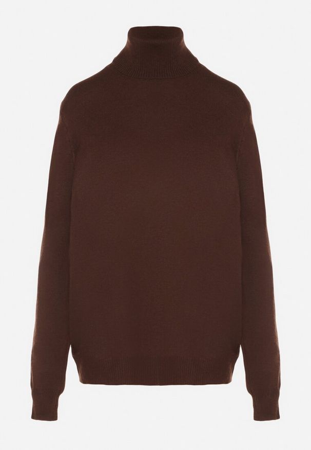 Born2be - Brązowy Casualowy Golf z Wełną o Prostym Kroju Reiselia. Okazja: na co dzień. Typ kołnierza: golf. Kolor: brązowy. Materiał: wełna. Styl: casual