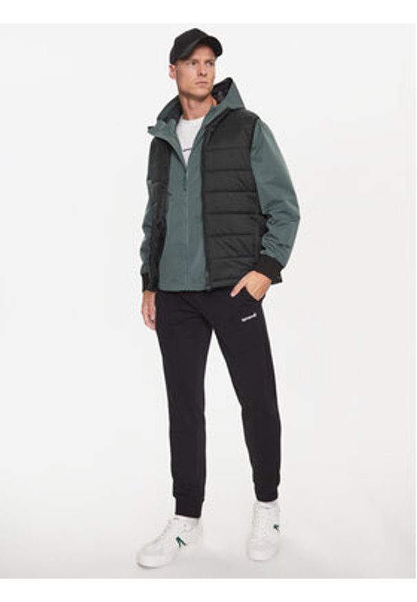 Sprandi Kamizelka SP3-KAM010 Czarny Regular Fit. Kolor: czarny. Materiał: syntetyk