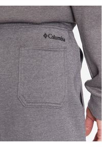 columbia - Columbia Spodnie dresowe Trek 1957941 Szary Regular Fit. Kolor: szary. Materiał: syntetyk, dresówka