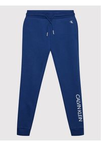 Calvin Klein Jeans Spodnie dresowe Institutional Logo IB0IB00954 Granatowy Regular Fit. Kolor: niebieski. Materiał: bawełna