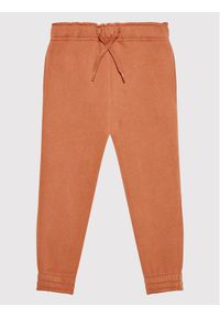 Name it - NAME IT Spodnie dresowe Leno 13197355 Brązowy Regular Fit. Kolor: brązowy. Materiał: bawełna, dresówka