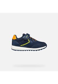 Sneakersy dziecięce Geox Alben B. A. Kolor: niebieski, zielony, żółty, wielokolorowy. Materiał: materiał. Sport: turystyka piesza