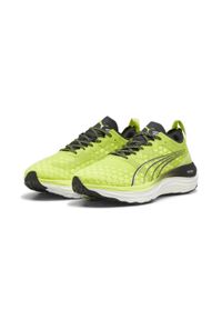 Puma - Męskie buty do biegania ForeverRun NITRO™ PUMA Lime Pow Black White Green. Kolor: wielokolorowy, czarny, zielony, biały. Sport: bieganie