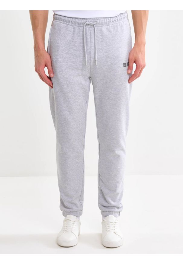 Big-Star - Spodnie męskie dresowe szare Brutus 901. Kolekcja: plus size. Kolor: szary. Materiał: dresówka. Wzór: nadruk, aplikacja