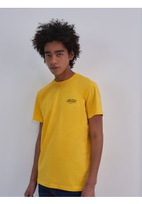 Big-Star - Koszulka męska z nadrukiem żółta Omaran 201. Kolor: żółty. Materiał: bawełna. Wzór: nadruk #3