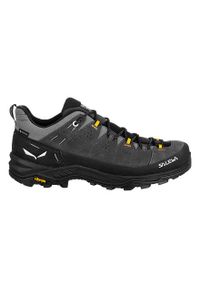 Buty trekkingowe męskie Salewa Alp Trainer 2 Gtx. Kolor: czarny, szary, wielokolorowy. Materiał: guma, zamsz. Sport: turystyka piesza