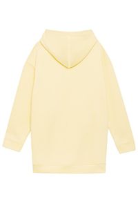 Sprandi Bluza SS21-BLD007 Żółty Regular Fit. Kolor: żółty #8