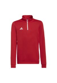 Adidas - Bluza piłkarska dla dzieci adidas Entrada 22 Training Top. Kolor: czerwony. Sport: piłka nożna