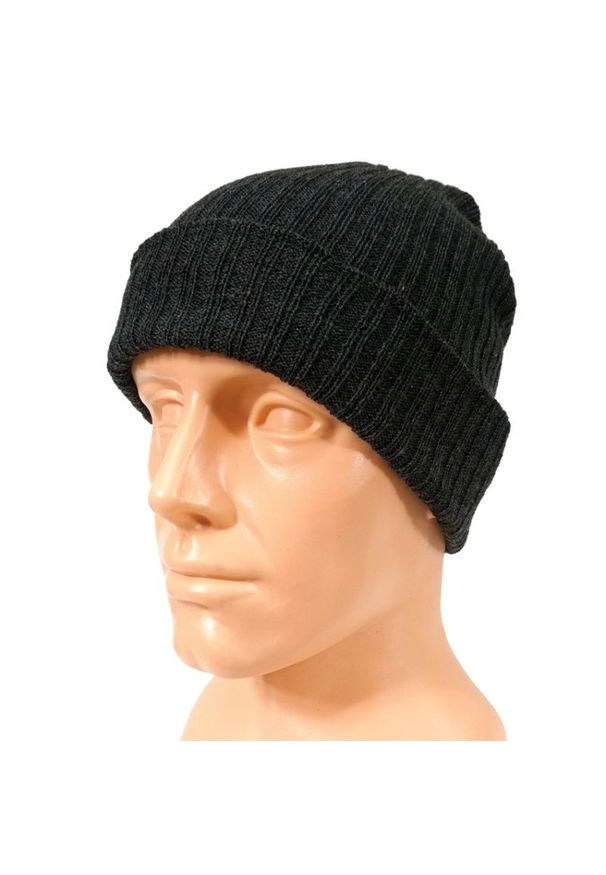 Pako Jeans - Grafitowa Męska Czapka, Prążkowana Beanie, Jesienno-Zimowa, Szara. Kolor: szary. Materiał: akryl. Sezon: jesień, zima. Styl: klasyczny
