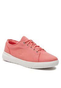 Timberland Sneakersy Seneca Bay TB0A5X4HDH61 Różowy. Kolor: różowy