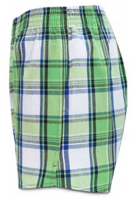Luźne Męskie Bokserki, Bawełniane - Pako Jeans - Zielone w Kratę. Kolor: zielony. Materiał: bawełna #3