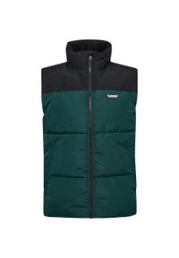 Kurtka puchowa bez rękawów Hummel. Kolor: zielony. Materiał: puch. Długość rękawa: bez rękawów. Sport: turystyka piesza #1