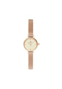 Daniel Wellington Zegarek DW00100741 Różowy. Kolor: różowy