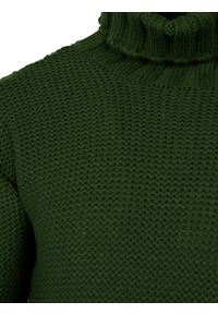 La Haine Inside Us Sweter "Turtleneck" | LM278 | Mężczyzna | Zielony. Okazja: na co dzień. Typ kołnierza: golf. Kolor: zielony. Materiał: wełna, poliester. Wzór: jednolity. Styl: casual, elegancki #2