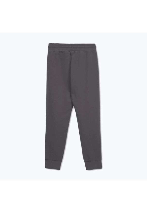 PITBULL - Spodnie męskie Pitbull Sampson Track Pants. Kolor: szary