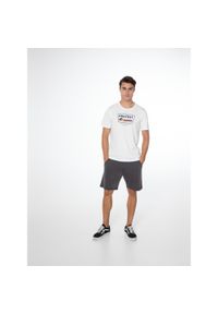 Koszulka męska Protest PRTCAARLO t-shirt. Kolor: biały