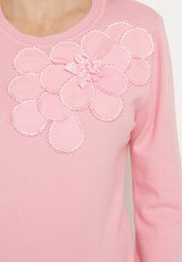 Born2be - Różowy Sweter z Wiskozą Modalem i Aplikacjami 3D Esalttia. Okazja: na co dzień. Kolor: różowy. Materiał: wiskoza. Wzór: aplikacja. Sezon: zima, jesień. Styl: elegancki, casual