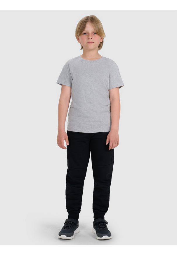 4f - 4F T-shirt regular gładki chłopięcy - szary 134 (8-9 lat). Okazja: na co dzień. Kolor: szary. Materiał: jersey, bawełna, materiał. Długość rękawa: krótki rękaw. Długość: krótkie. Wzór: gładki. Sezon: lato. Styl: sportowy, casual, klasyczny, młodzieżowy