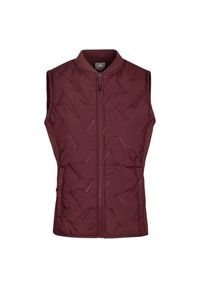 TRESPASS - Damska Kamizelka Miran Hybrid Active Gilet. Kolor: różowy. Styl: sportowy. Sport: turystyka piesza #1