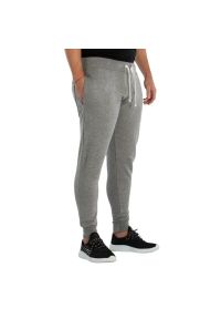 Jogging Softee Detroit. Kolor: szary. Długość: długie. Sport: bieganie #1