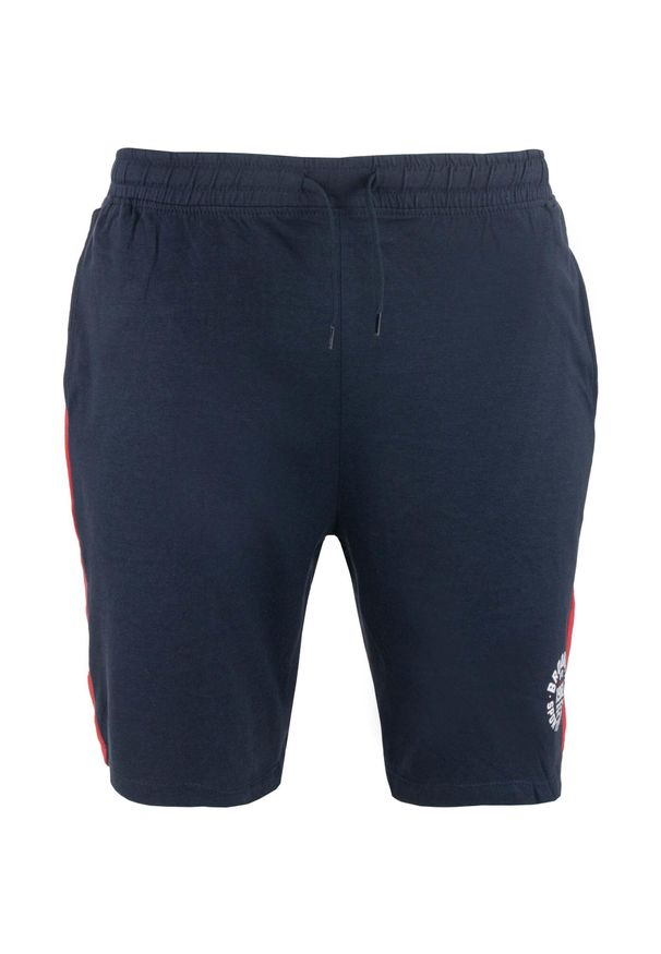 ZFOAM - Męskie szorty ATHL DPT — Foggy Blue, 2XL. Kolor: czerwony, niebieski, wielokolorowy. Materiał: bawełna. Sport: turystyka piesza