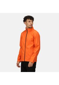 Regatta - Softshell roboczy męski Ablaze. Kolor: pomarańczowy. Materiał: softshell. Sezon: zima, jesień. Sport: turystyka piesza #1