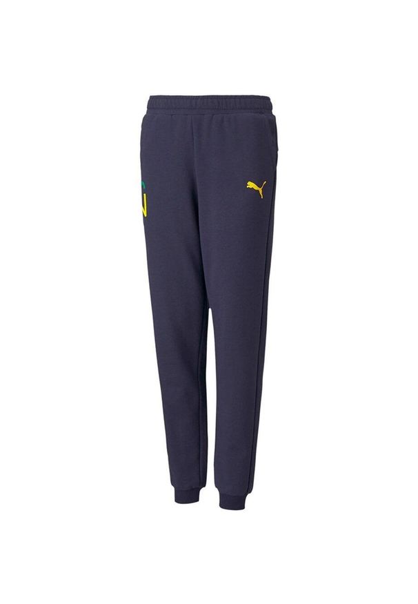 Spodnie dla dzieci Puma Neymar Jr Hero granatowe 605547 06. Kolor: wielokolorowy. Sport: joga i pilates