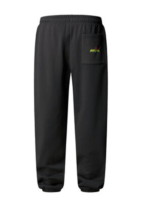The North Face Spodnie dresowe Expedition Celebration NF0A8E3E Szary Relaxed Fit. Kolor: szary. Materiał: bawełna
