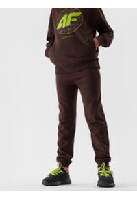 4F JUNIOR - Spodnie dresowe joggery chłopięce. Okazja: na co dzień. Kolor: brązowy. Materiał: dresówka. Styl: casual