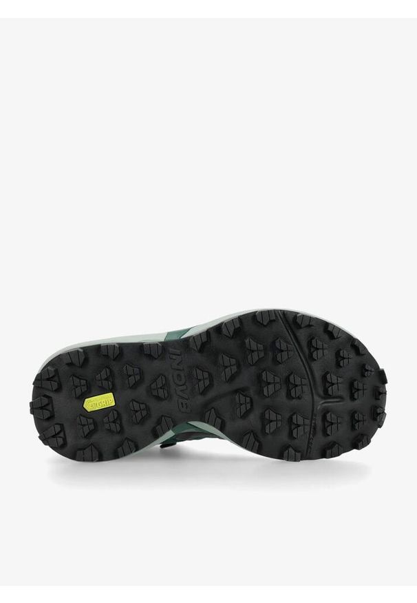 Buty turystyczne damskie Inov-8 Roclite Pro GTX Wide. Kolor: zielony