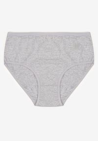 Born2be - Szare Gładkie Majtki Figi z Bawełny Idina. Kolekcja: plus size. Kolor: szary. Materiał: bawełna. Wzór: gładki