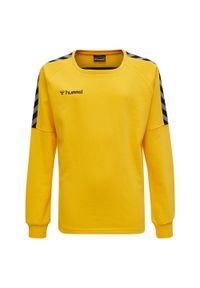 Bluza do piłki ręcznej dla dzieci Hummel hmlAUTHENTIC Training. Kolor: pomarańczowy, wielokolorowy, żółty. Sport: joga i pilates