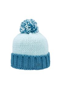 Czapka dla dzieci CMP. Kolor: niebieski. Sezon: zima #1