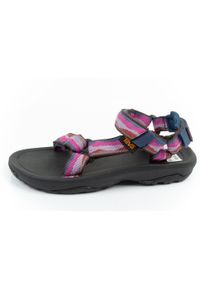 Buty sandały dziecięce młodzieżowe Teva Hurricane XLT2. Kolor: wielokolorowy. Materiał: materiał. Szerokość cholewki: normalna. Sport: turystyka piesza