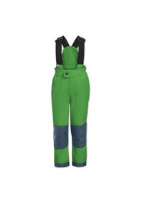 Spodnie narciarskie dla dzieci Vaude Snow Cup Pants III. Kolor: zielony. Materiał: poliester. Sezon: zima. Sport: narciarstwo