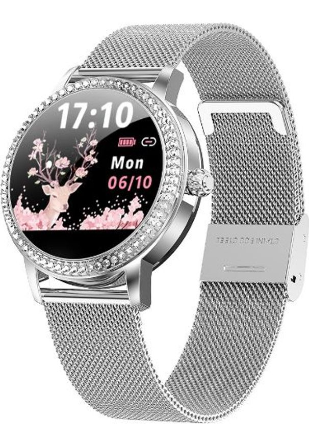 Smartwatch Rubicon LW20 Srebrny (RNBE63SIBX05AX). Rodzaj zegarka: smartwatch. Kolor: srebrny