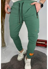 IVET - Spodnie sportowe TREVOR GREEN. Okazja: na co dzień. Kolor: zielony. Styl: sportowy #1