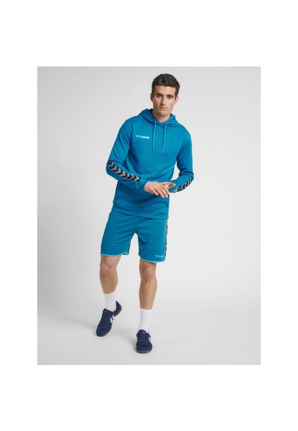 Bluza do piłki ręcznej męska Hummel hml AUTHENTIC Poly. Kolor: wielokolorowy, niebieski, turkusowy. Sport: fitness