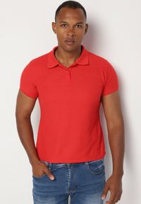 Born2be - Czerwony T-shirt Polo z Bawełną Fodelira. Okazja: na co dzień. Typ kołnierza: polo. Kolor: czerwony. Materiał: bawełna. Styl: klasyczny, elegancki, casual #7