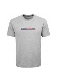 Koszulka Męska (T-Shirt) - Pako Jeans - U-Neck - Popielata. Okazja: na co dzień. Kolor: szary. Materiał: bawełna. Wzór: nadruk. Styl: casual
