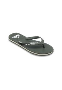 Quiksilver - Klapki dla Mężczyzn MOLOKAI CORE. Okazja: na plażę. Kolor: beżowy. Materiał: guma, syntetyk. Wzór: paski. Styl: sportowy