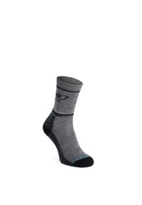 Skarpety merino Smartwool Everyday Forest Loot 2 Crew Socks. Kolor: szary